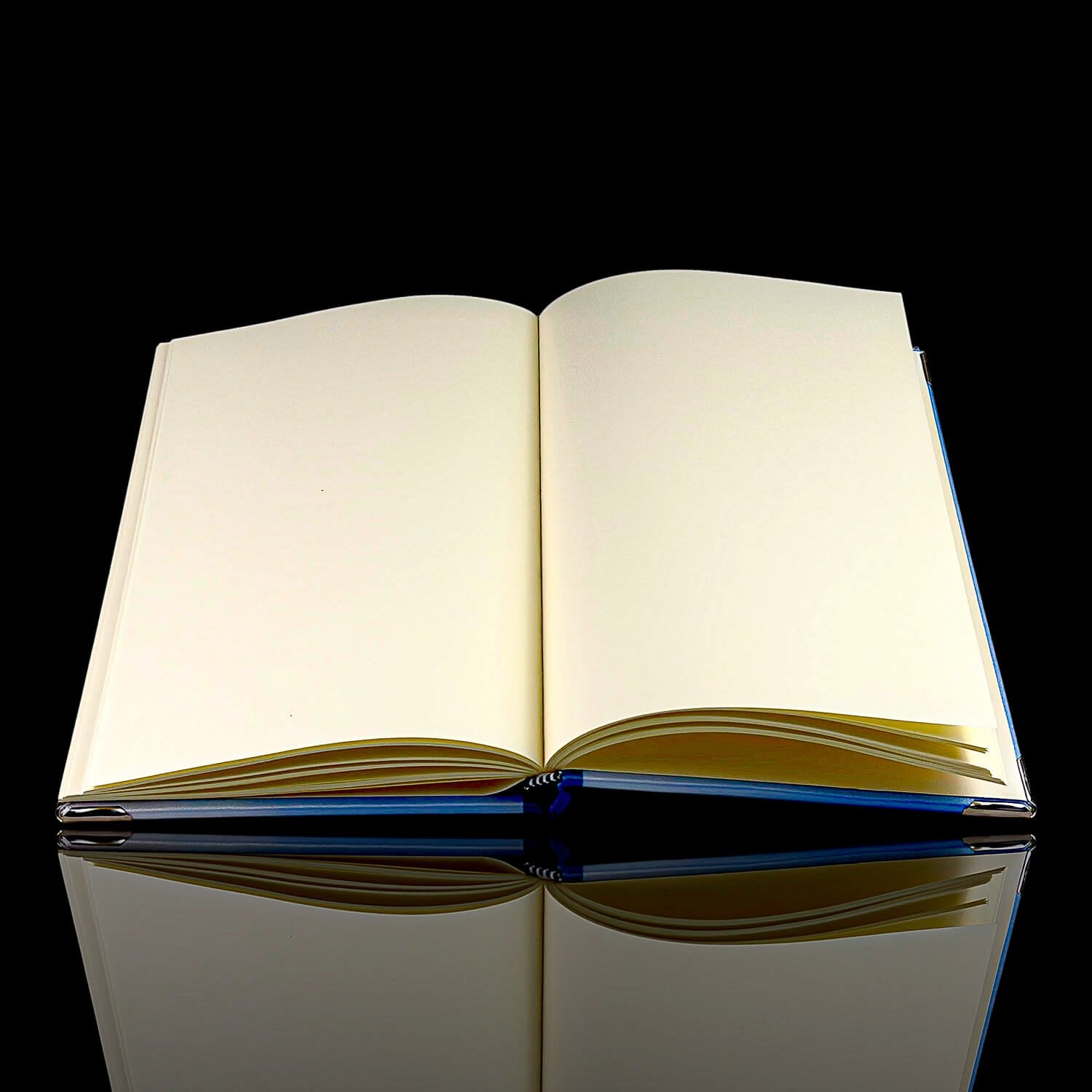Spitfire Journal