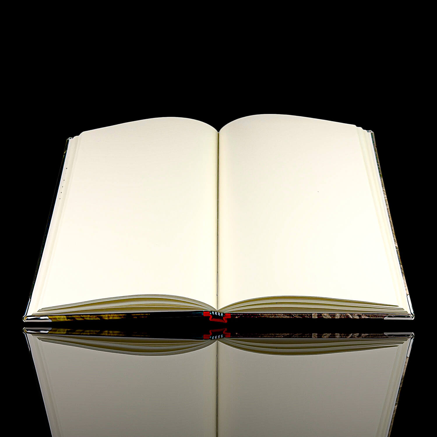 Queen Victoria Journal
